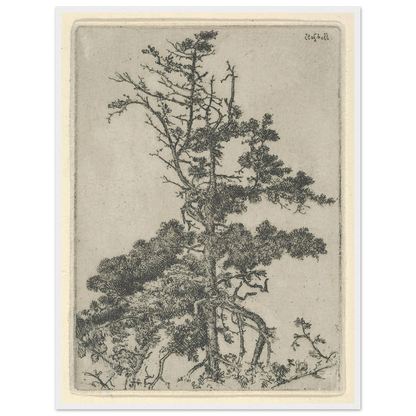 Tree Top (1900-1925) Art Print | Ernest Haskell-Quipham Collections