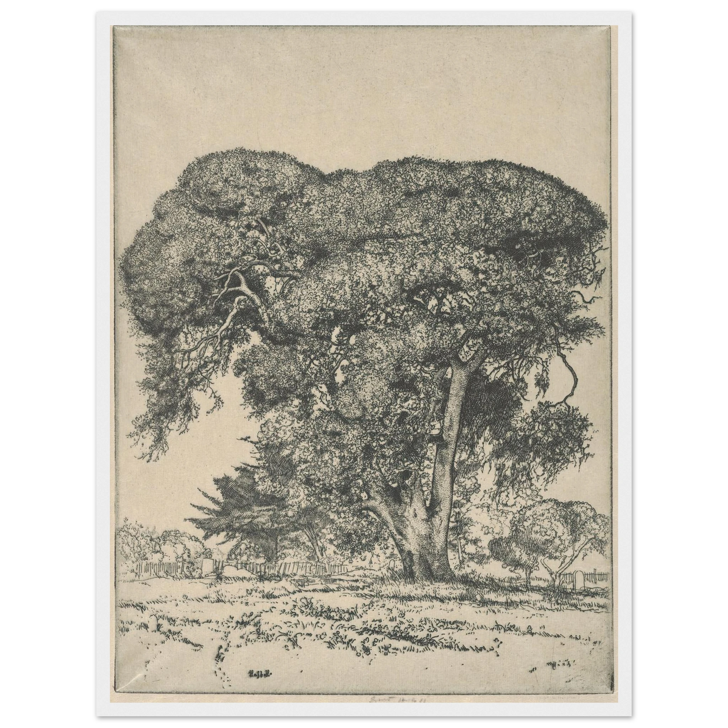 Cemetery Live Oak (1916) Art Print | Ernest Haskell-Quipham Collections
