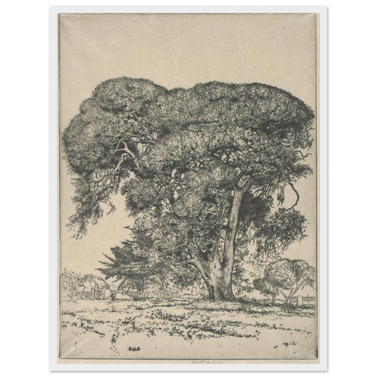 Cemetery Live Oak (1916) Art Print | Ernest Haskell - Framed Poster - 30x40 cm / 12x16″ - Black frame
