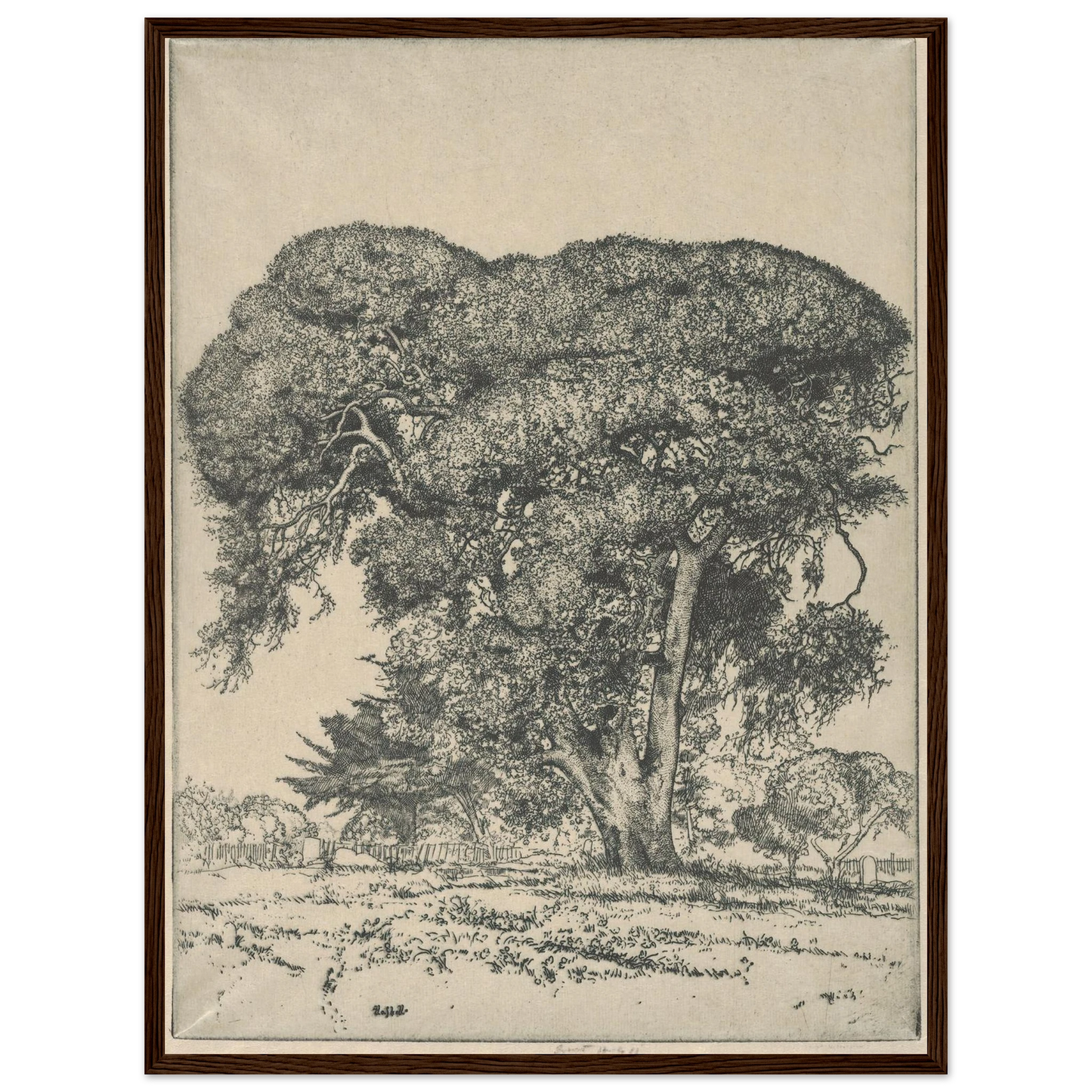Cemetery Live Oak (1916) Art Print | Ernest Haskell-Quipham Collections