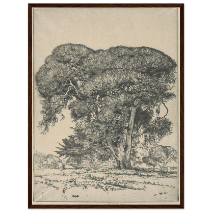 Cemetery Live Oak (1916) Art Print | Ernest Haskell-Quipham Collections