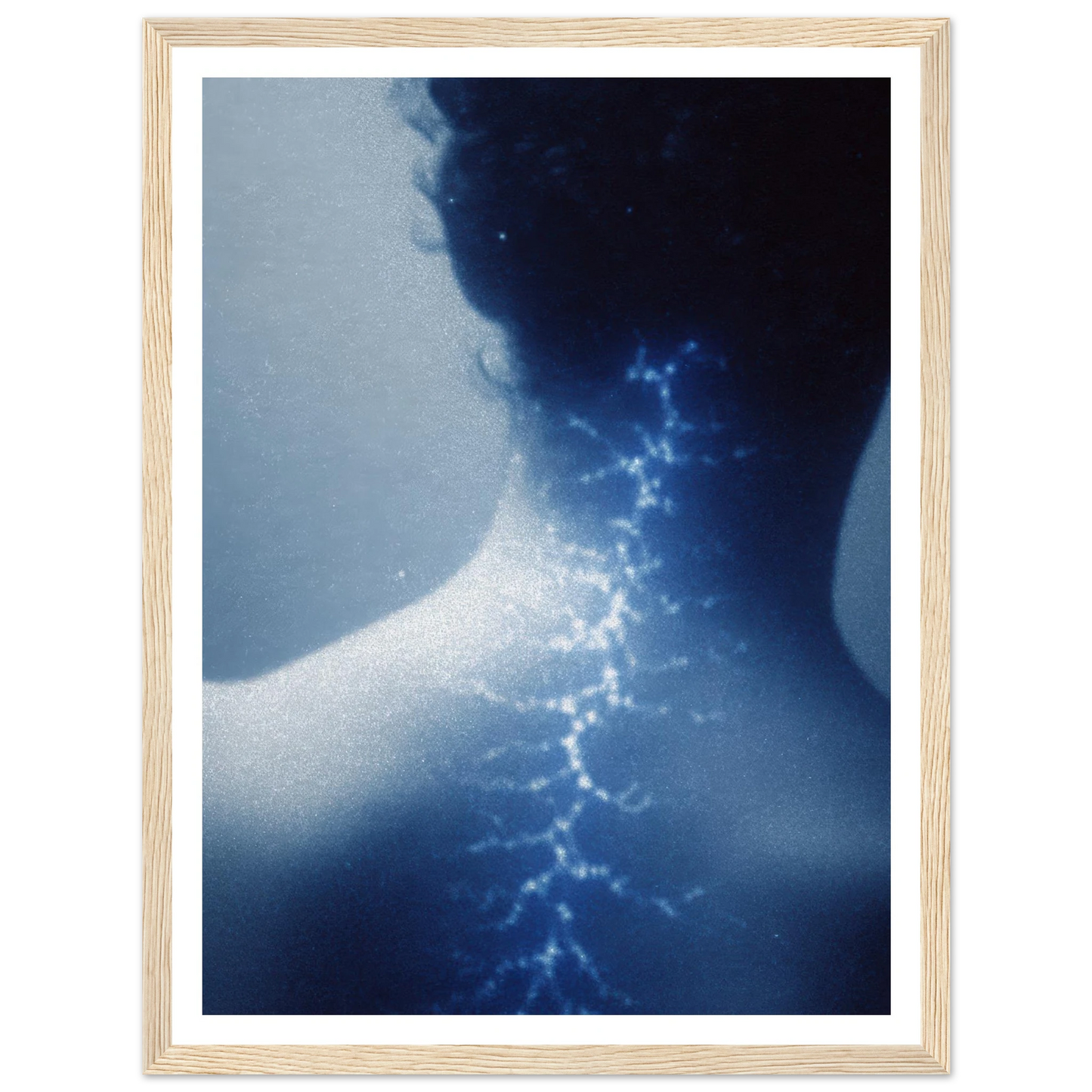 44167021-32c6-4d99-b3f8-6d57ca2fb243