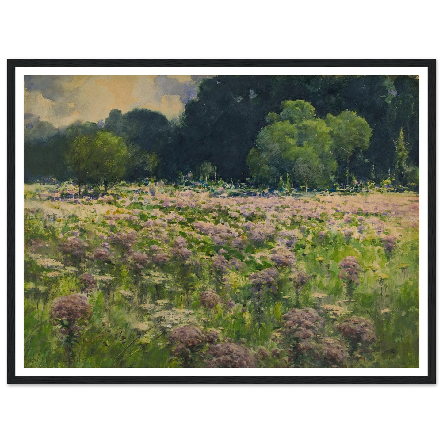 Field Of Joe Pie Weeds (Pride Of The Meadow) Art Print | William Henry Holmes-Quipham Collections