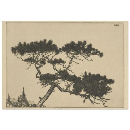 Crippled Pine (between 1900 and 1925) Art Print | Ernest Haskell-Quipham Collections