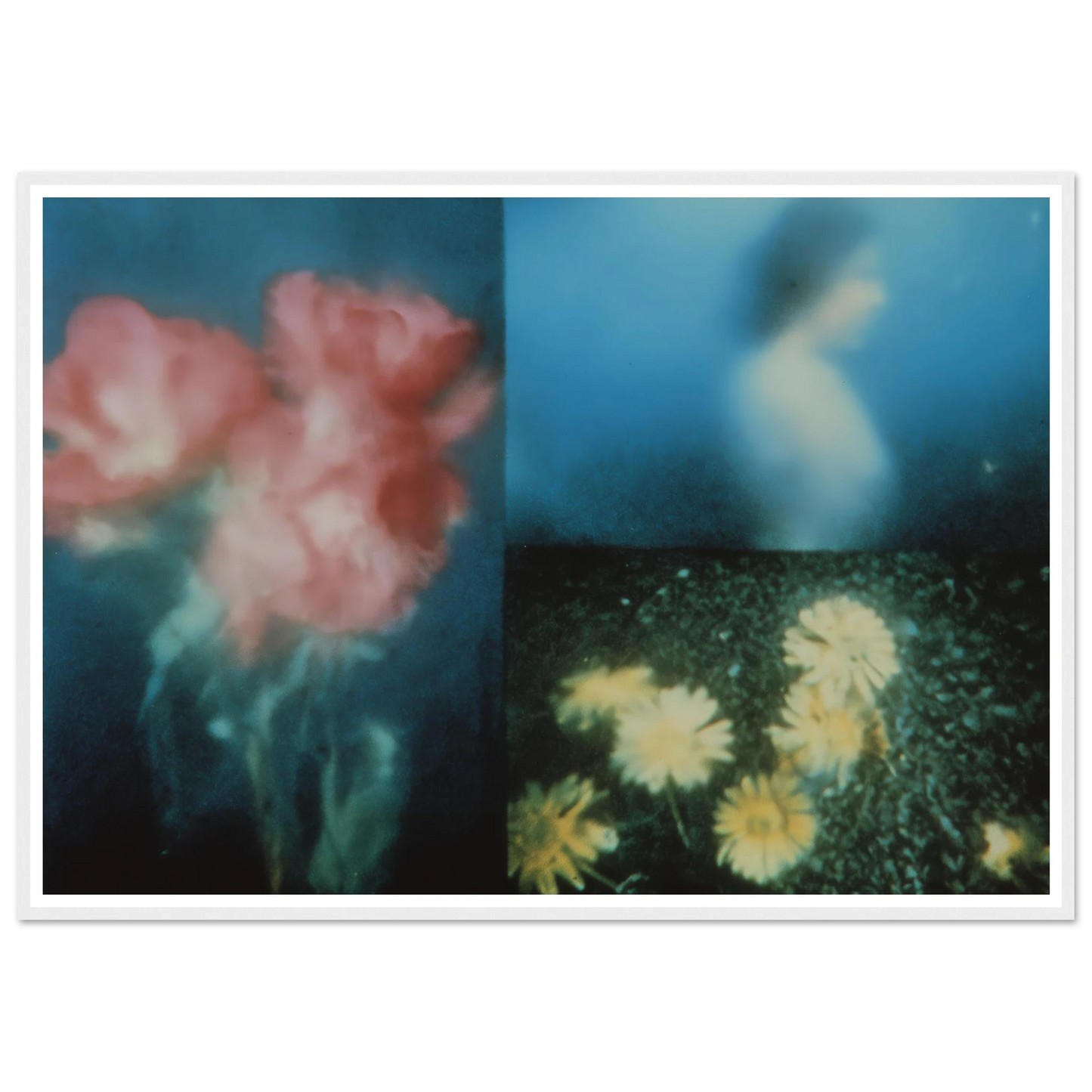 4502e9fd-b1d0-435a-9547-4549640981d2