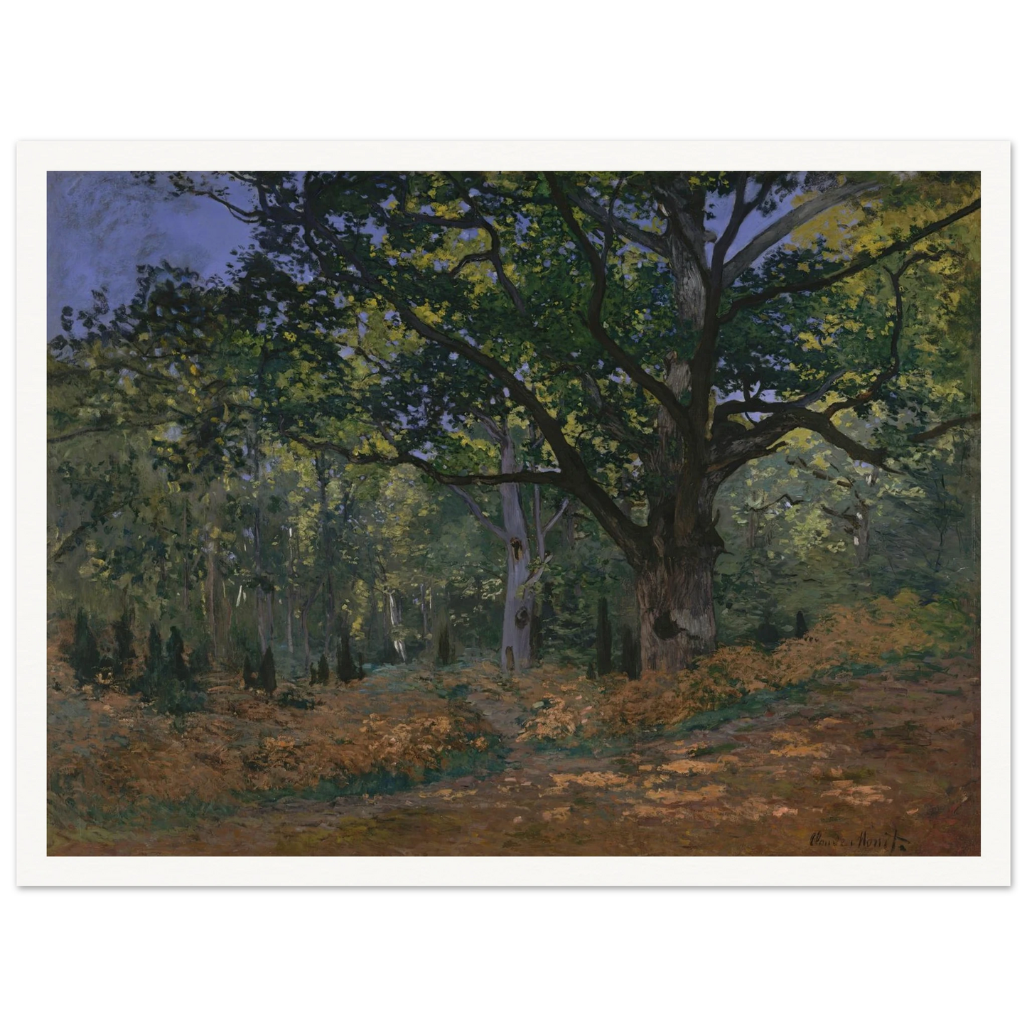 The Bodmer Oak, Fontainebleau Forest (1865) Art Print | Claude Monet-Quipham Collections