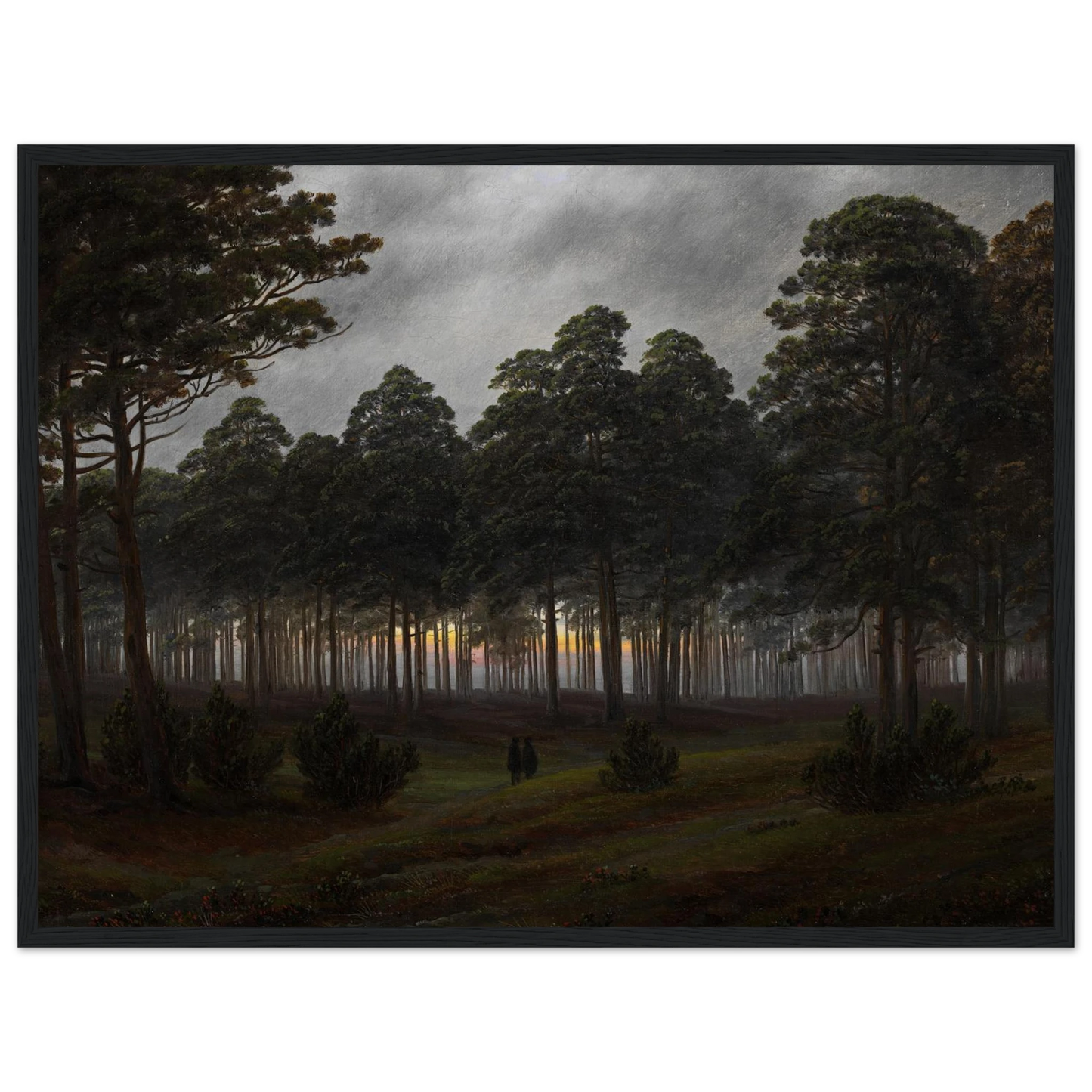 4778c749-bb36-4e30-bd55-200a8e894807