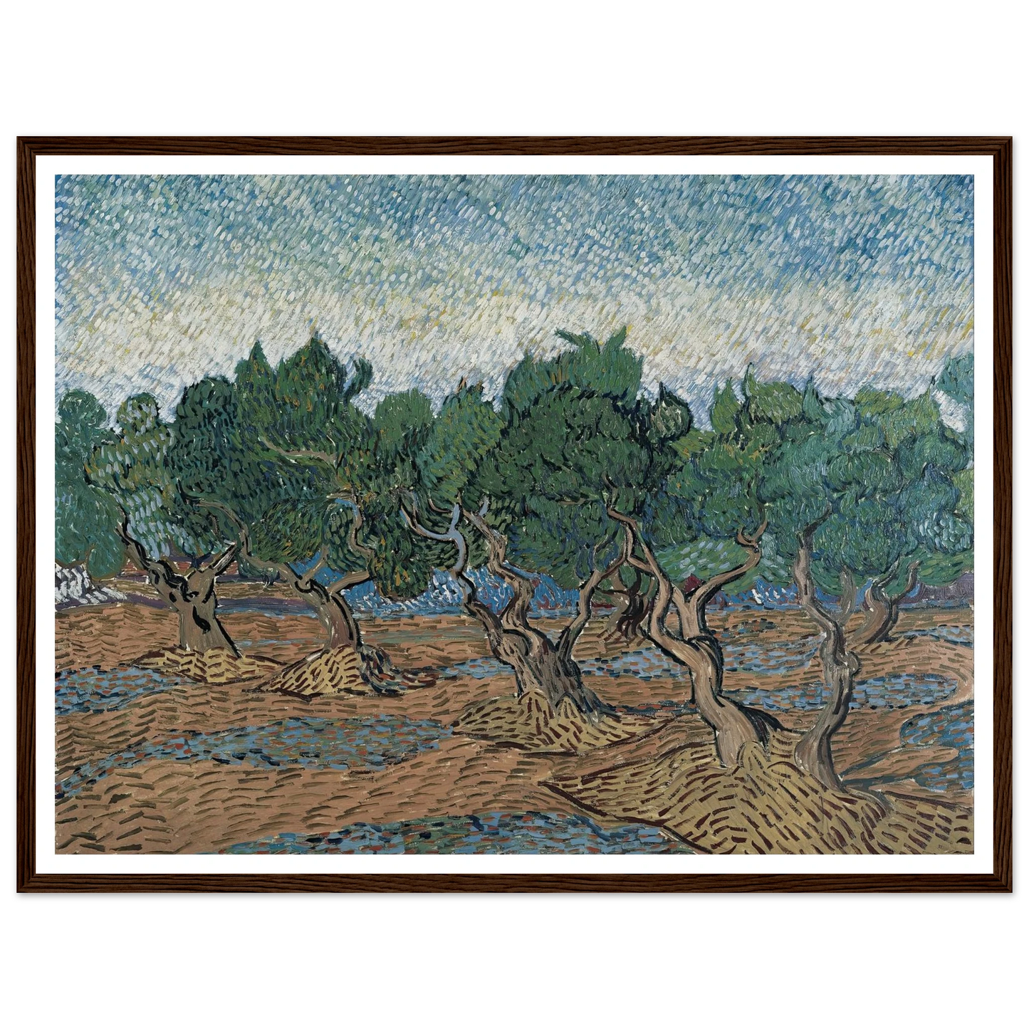 Olive grove Art Print | Vincent van Gogh-Quipham Collections