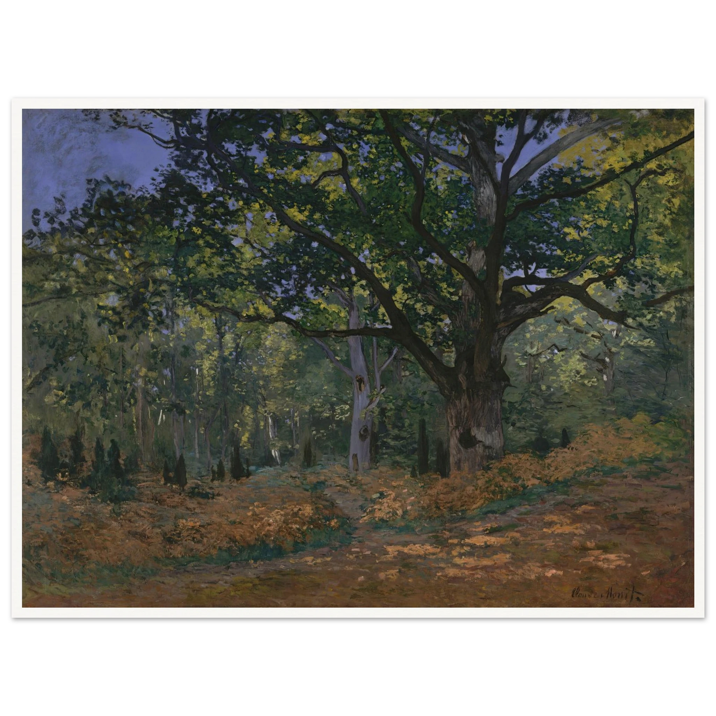 The Bodmer Oak, Fontainebleau Forest (1865) Art Print | Claude Monet-Quipham Collections