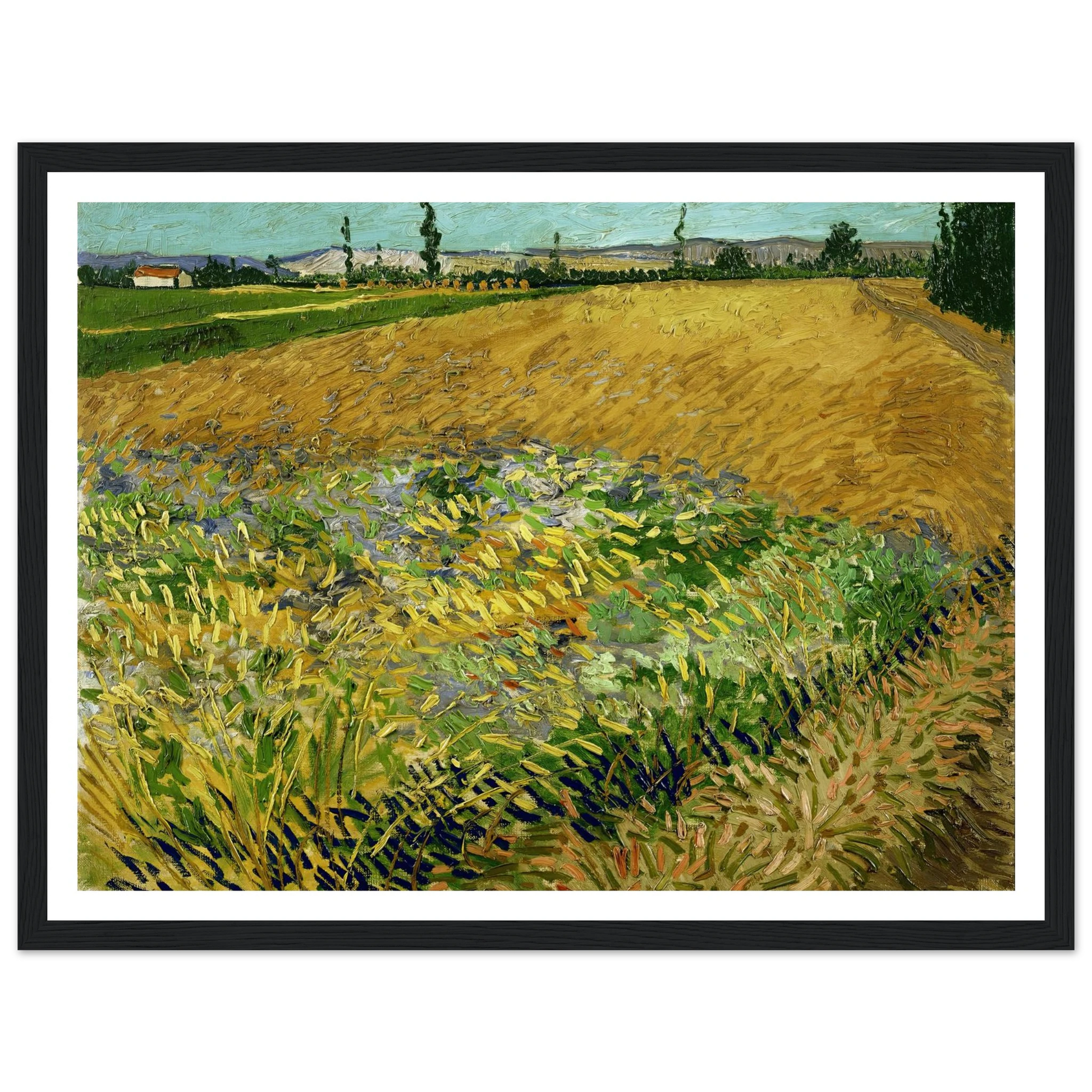 Wheatfield (1888) Art Print | Vincent van Gogh-Quipham Collections