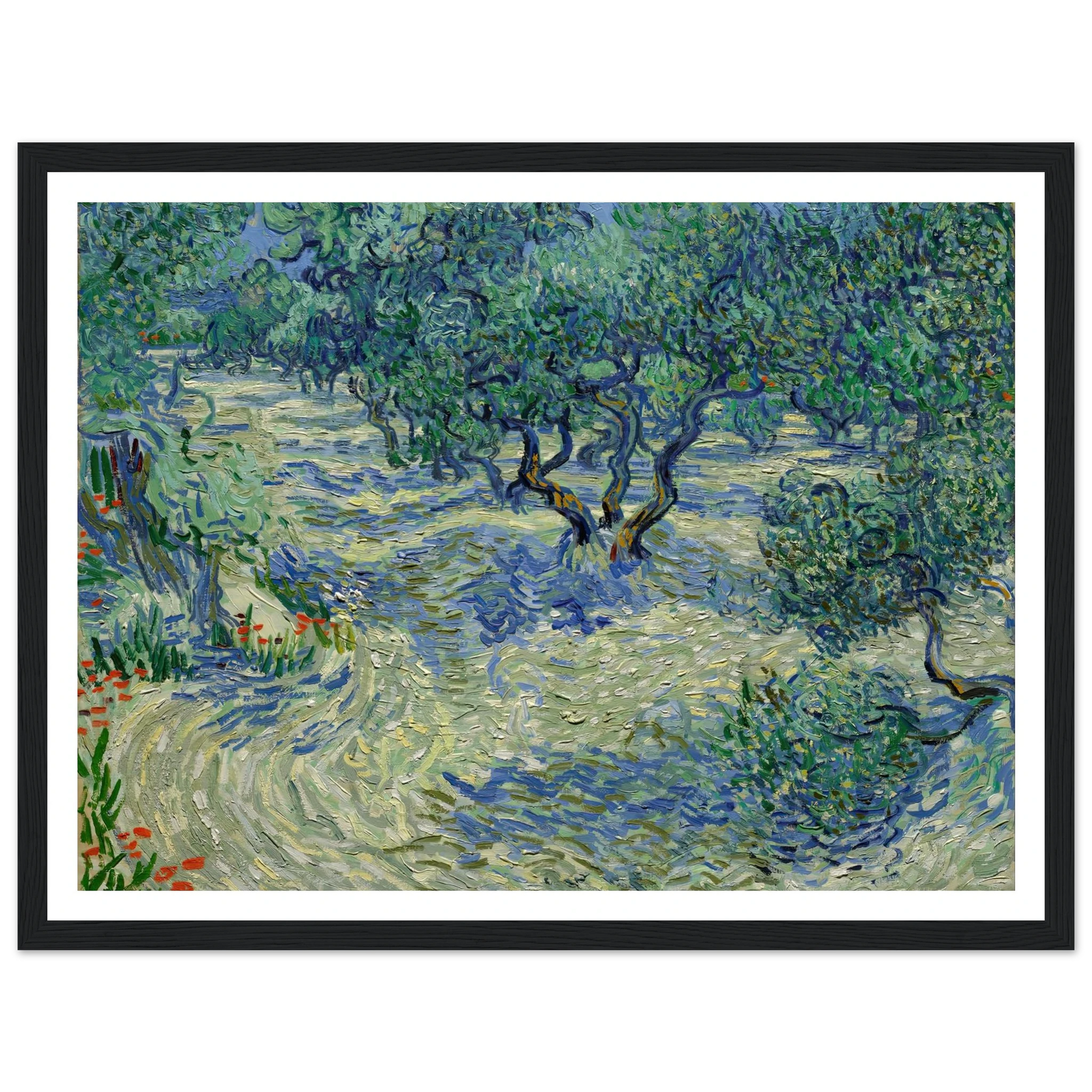 Olive Orchard Art Print | Vincent van Gogh-Quipham Collections