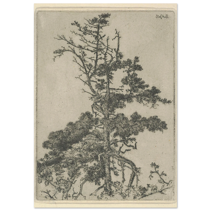Tree Top (1900-1925) Art Print | Ernest Haskell-Quipham Collections