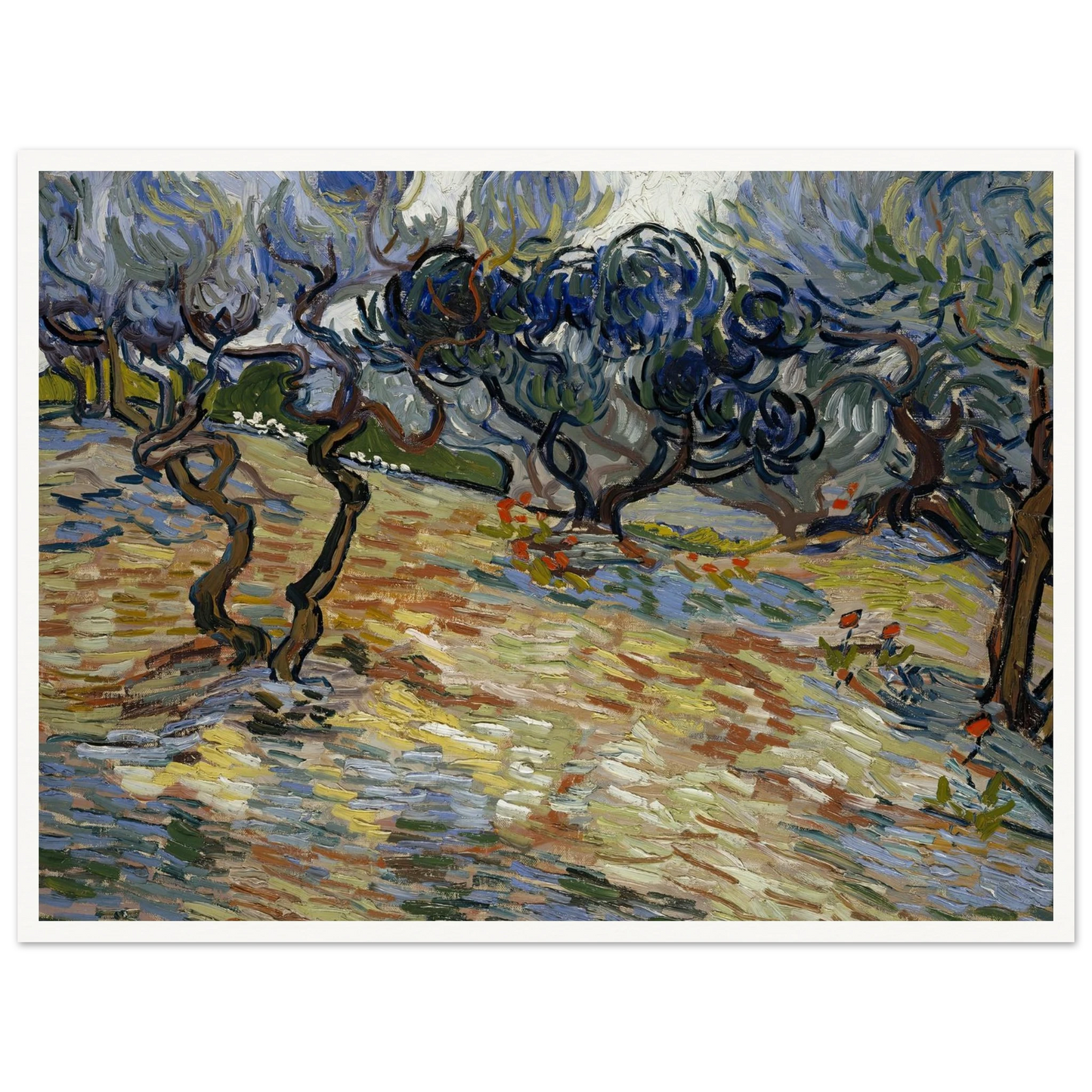 Olive Trees Art Print | Vincent van Gogh-Quipham Collections