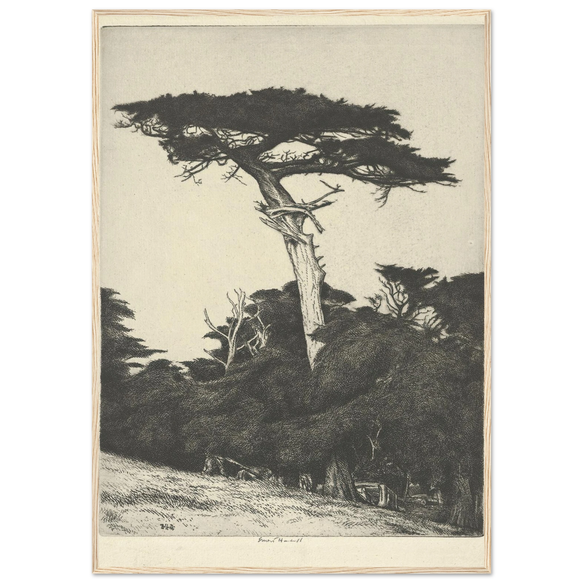 Dryad’s Parasol (1916-1922) Art Print | Ernest Haskell-Quipham Collections
