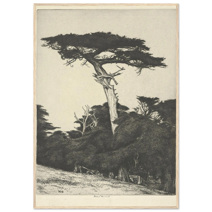 Dryad’s Parasol (1916-1922) Art Print | Ernest Haskell-Quipham Collections