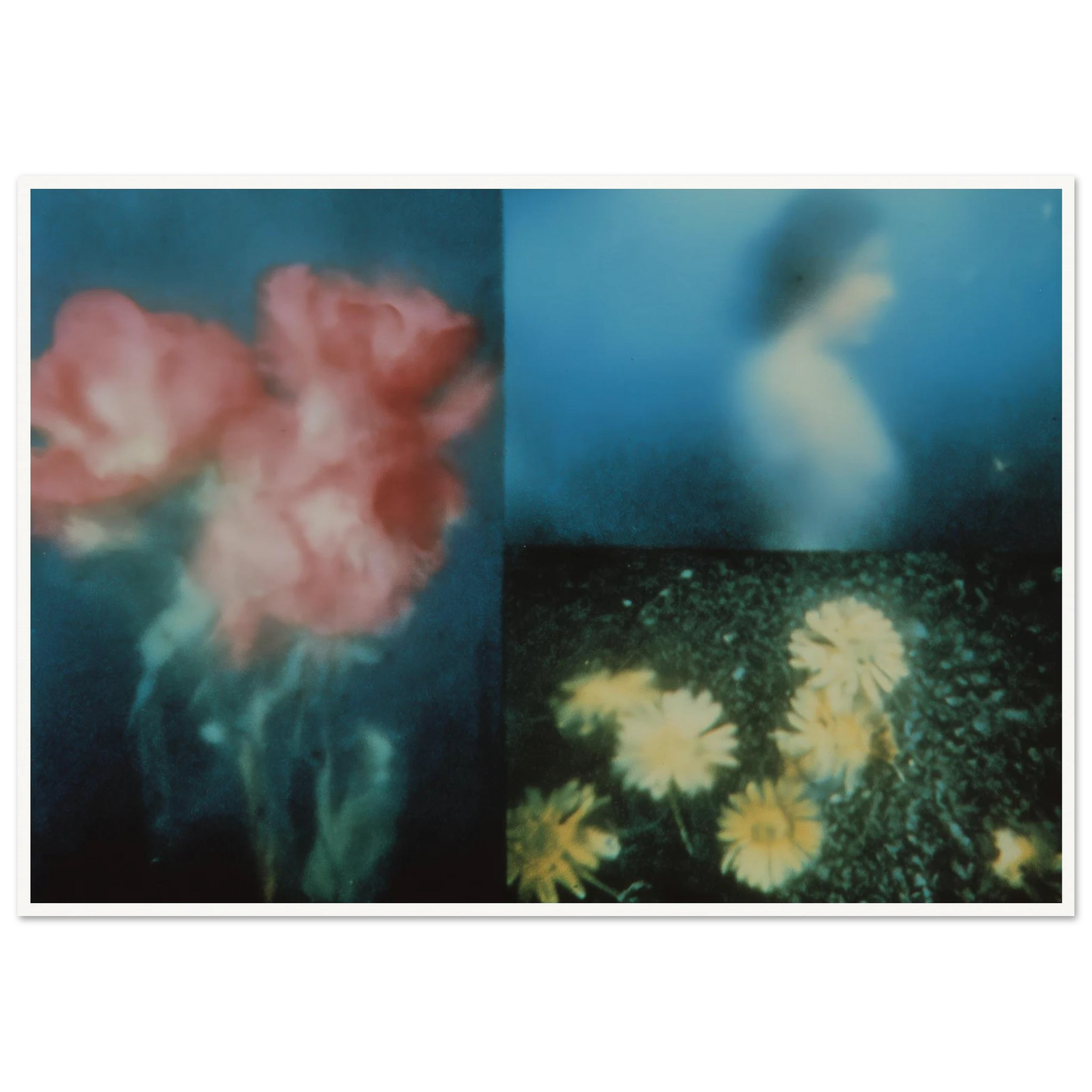 4c47ac9f-252d-479e-9e8d-3339e587da49