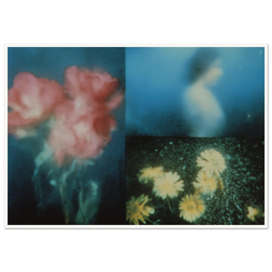 4c47ac9f-252d-479e-9e8d-3339e587da49