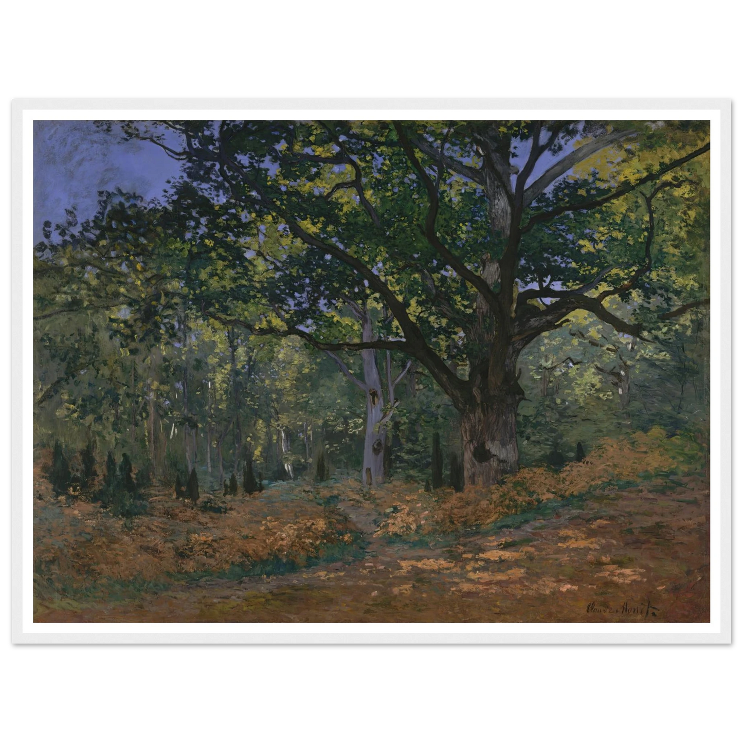 The Bodmer Oak, Fontainebleau Forest (1865) Art Print | Claude Monet-Quipham Collections