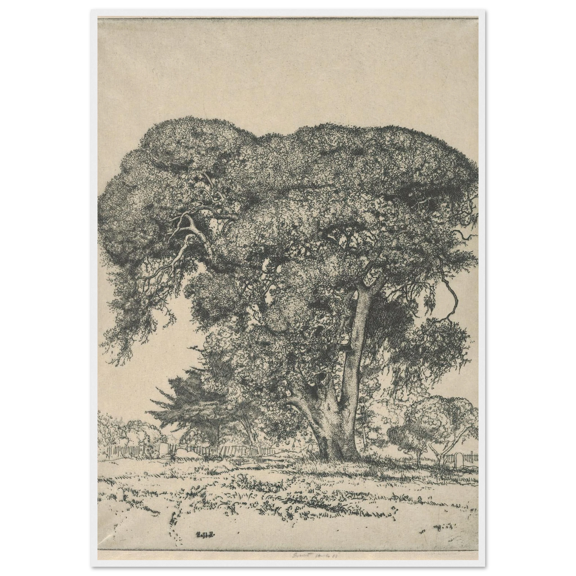 Cemetery Live Oak (1916) Art Print | Ernest Haskell-Quipham Collections