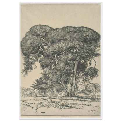 Cemetery Live Oak (1916) Art Print | Ernest Haskell-Quipham Collections