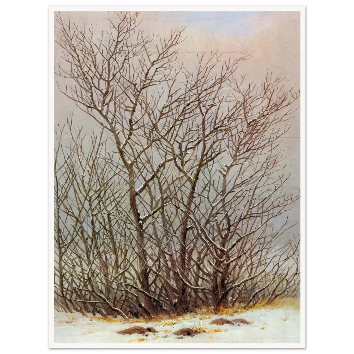 4d079433-0b7c-4f8c-9b2f-d4437123aedd