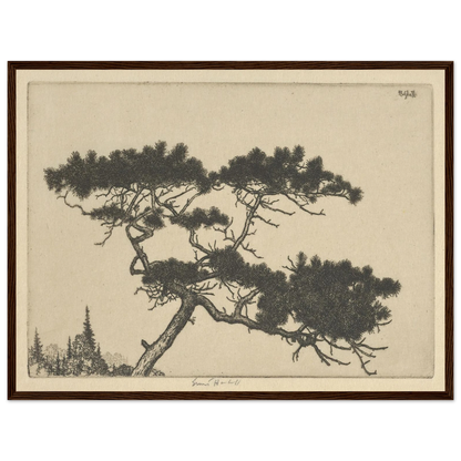 Crippled Pine (between 1900 and 1925) Art Print | Ernest Haskell-Quipham Collections