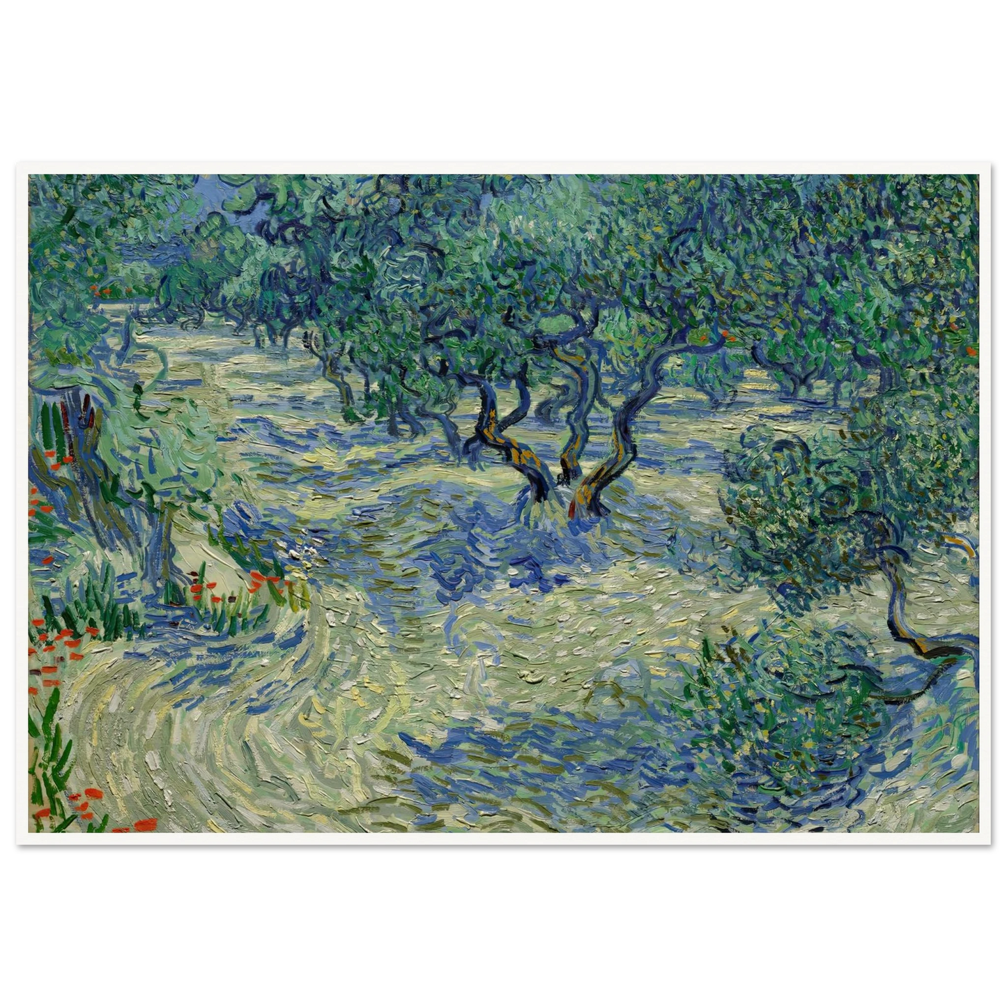 Olive Orchard Art Print | Vincent van Gogh-Quipham Collections