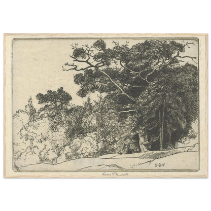 Brown’s Oak (probably 1910) Art Print | Ernest Haskell-Quipham Collections