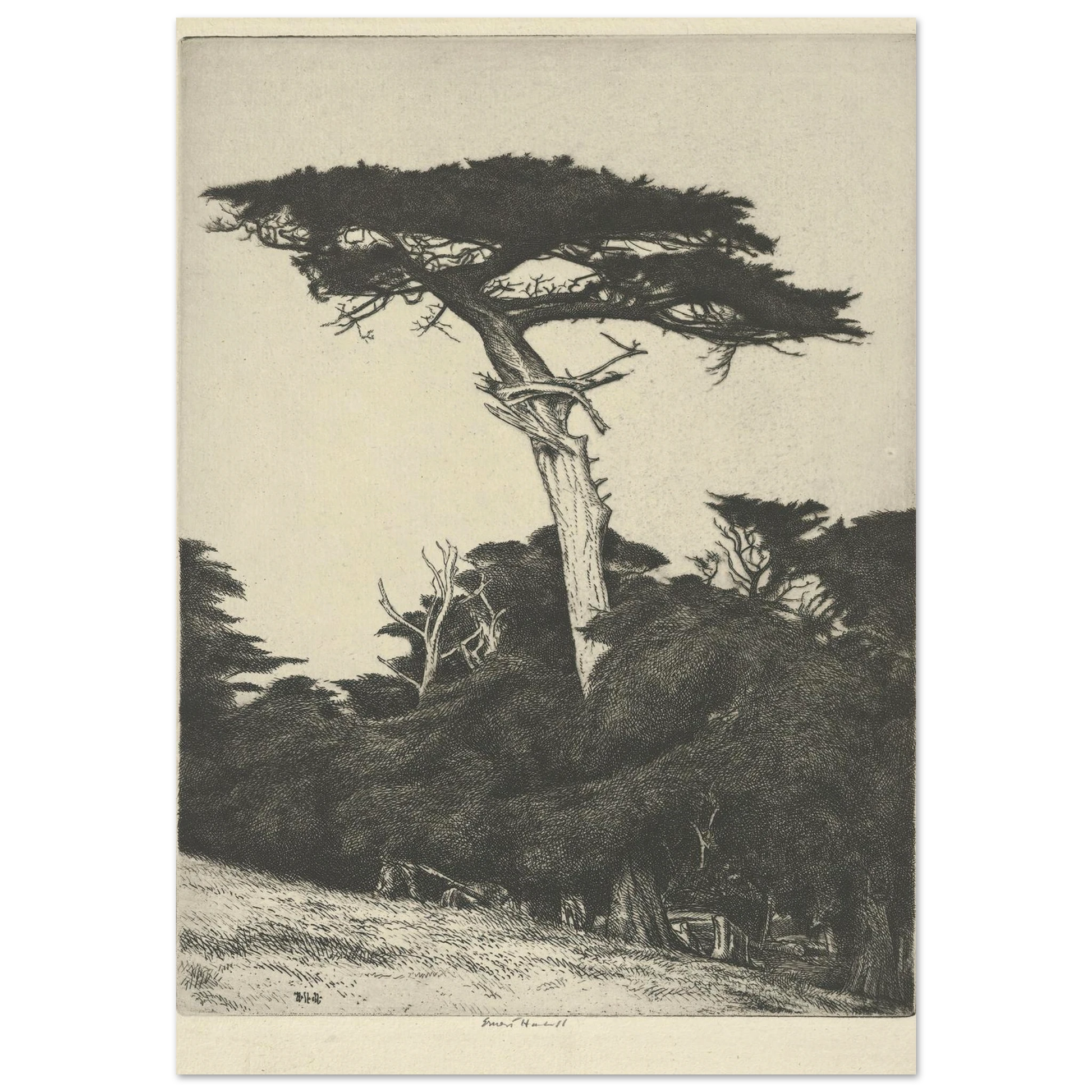 Dryad’s Parasol (1916-1922) Art Print | Ernest Haskell-Quipham Collections