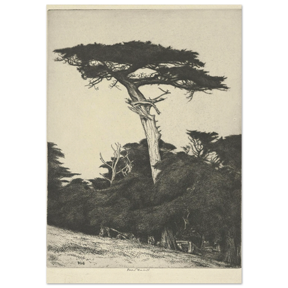 Dryad’s Parasol (1916-1922) Art Print | Ernest Haskell-Quipham Collections