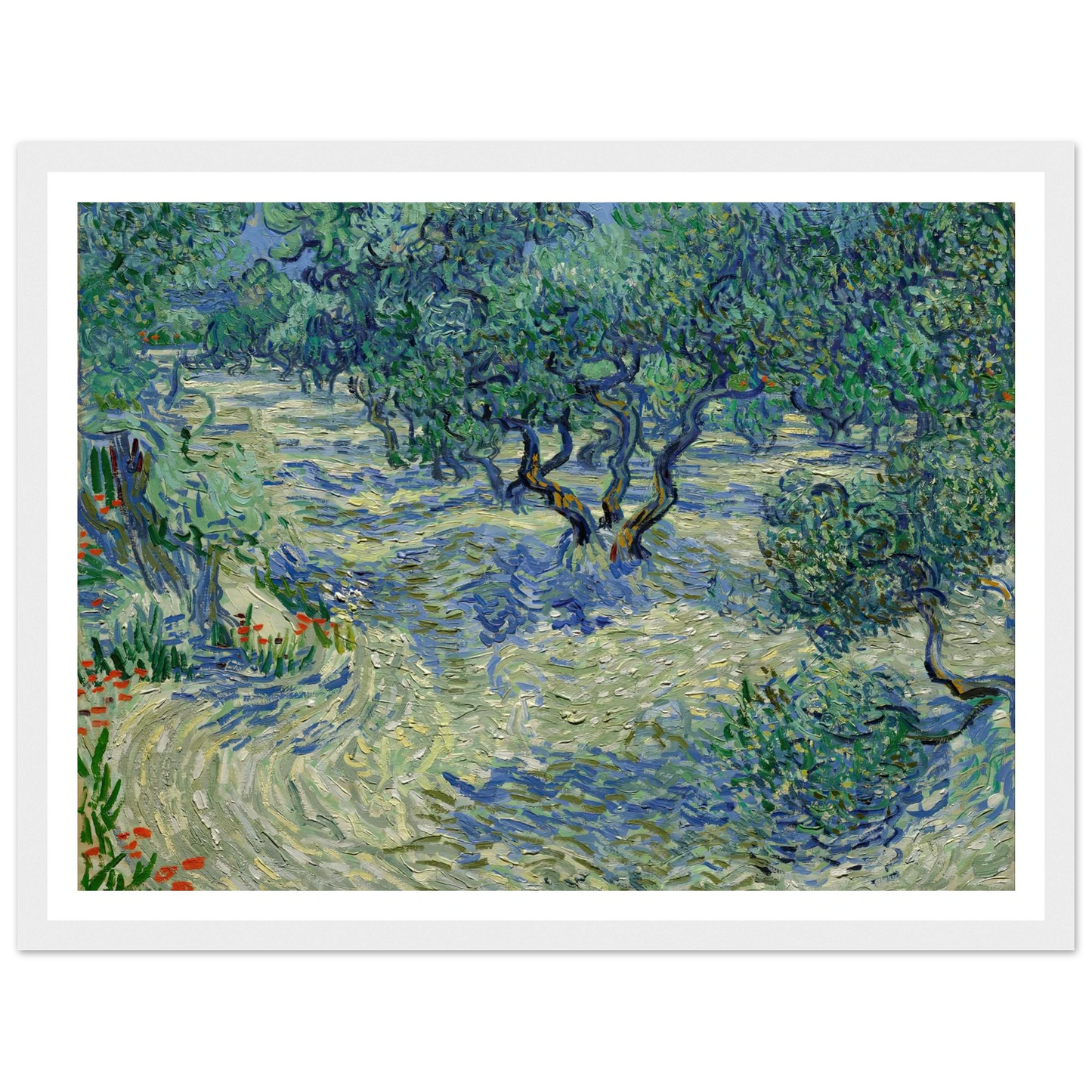 Olive Orchard Art Print | Vincent van Gogh-Quipham Collections