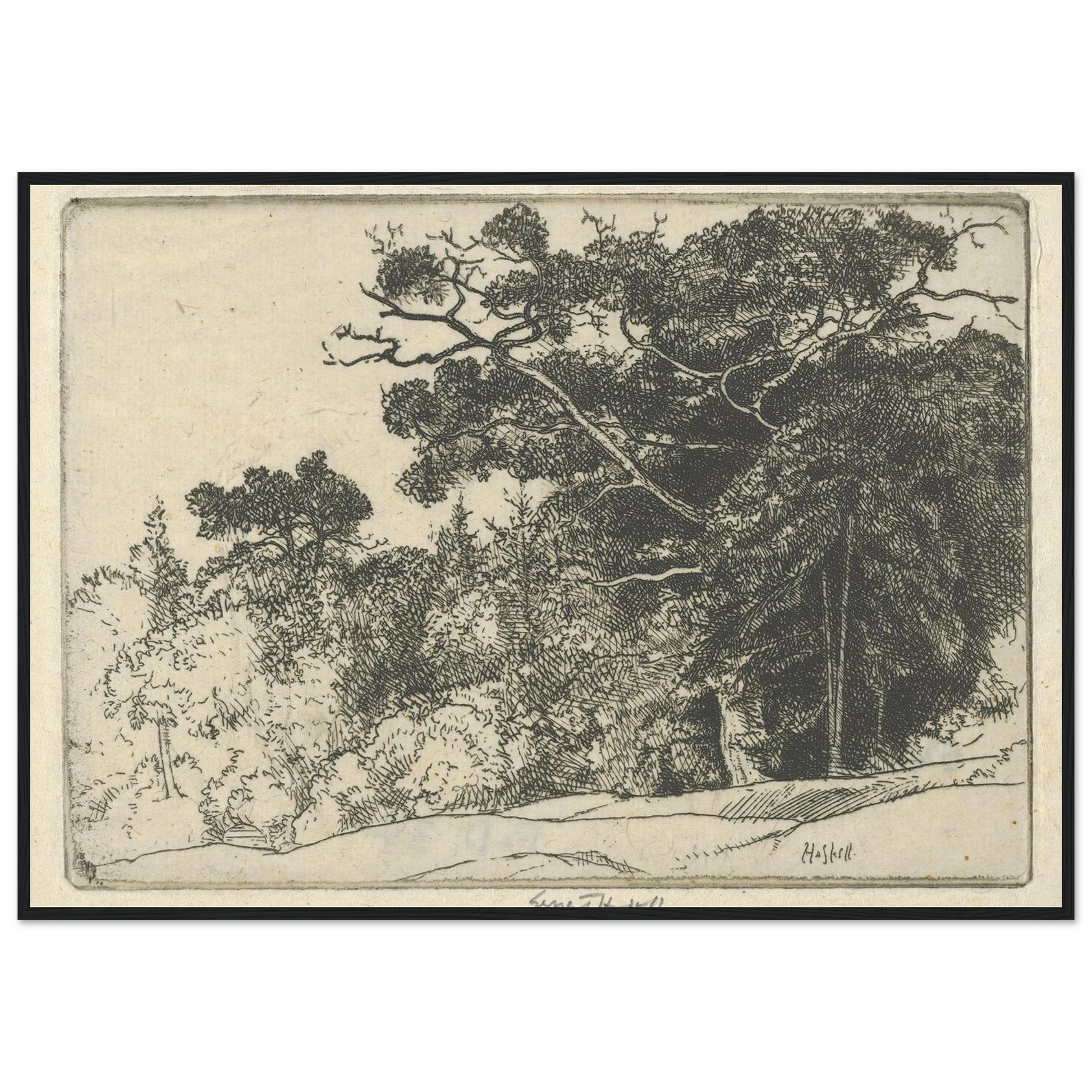 Brown’s Oak (probably 1910) Art Print | Ernest Haskell-Quipham Collections