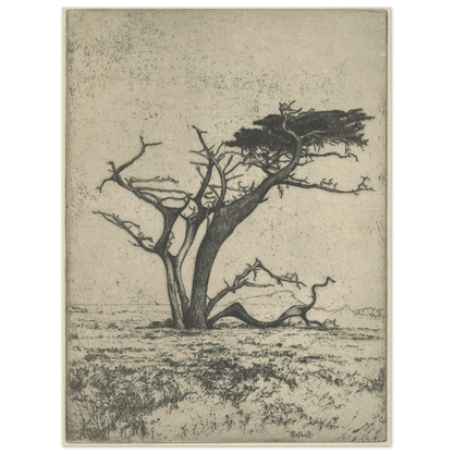 Antlers (1915) Art Print | Ernest Haskell-Quipham Collections