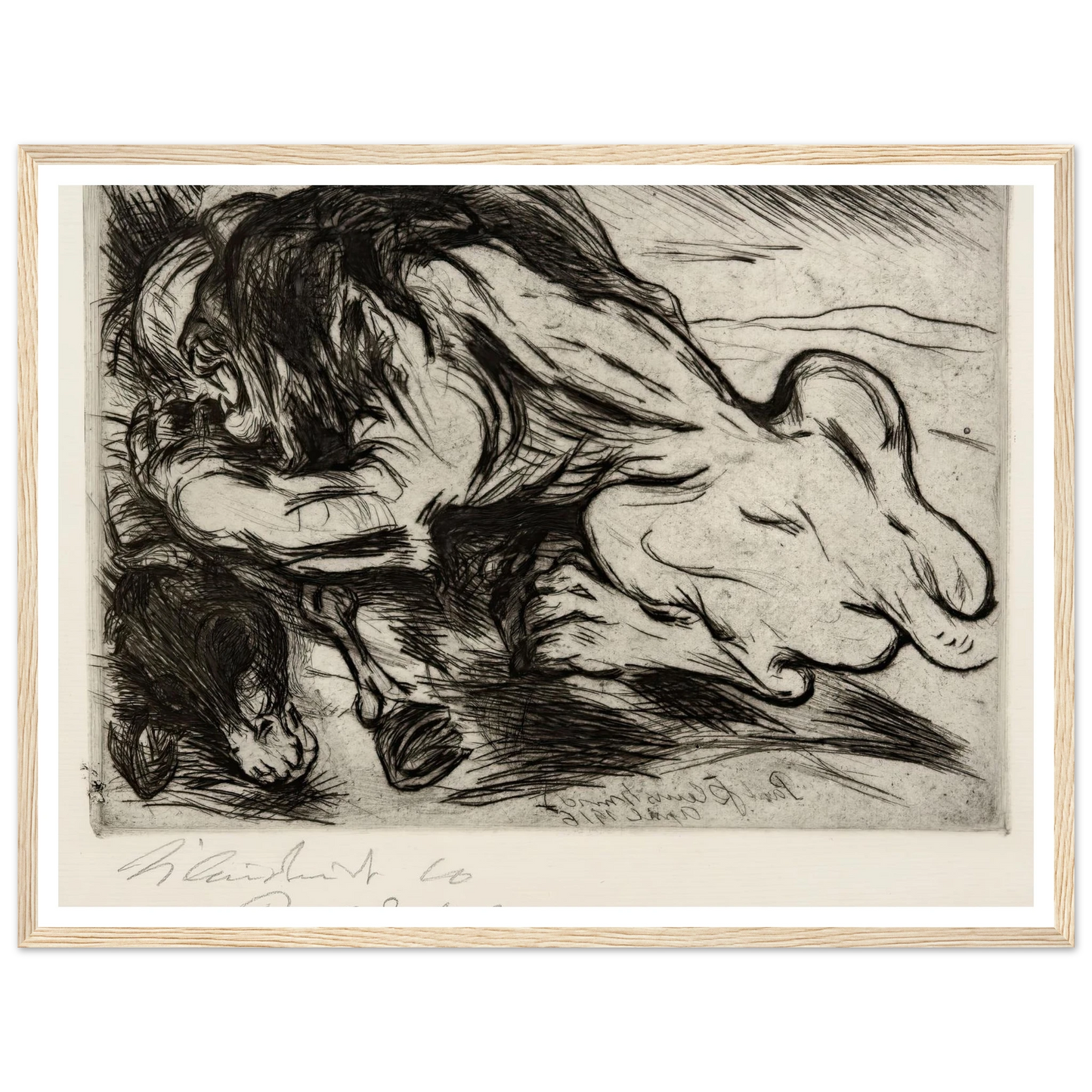 Ein Löwe reißt ein Zebu (1916) Art Print | Paul Kleinschmidt-Quipham Collections