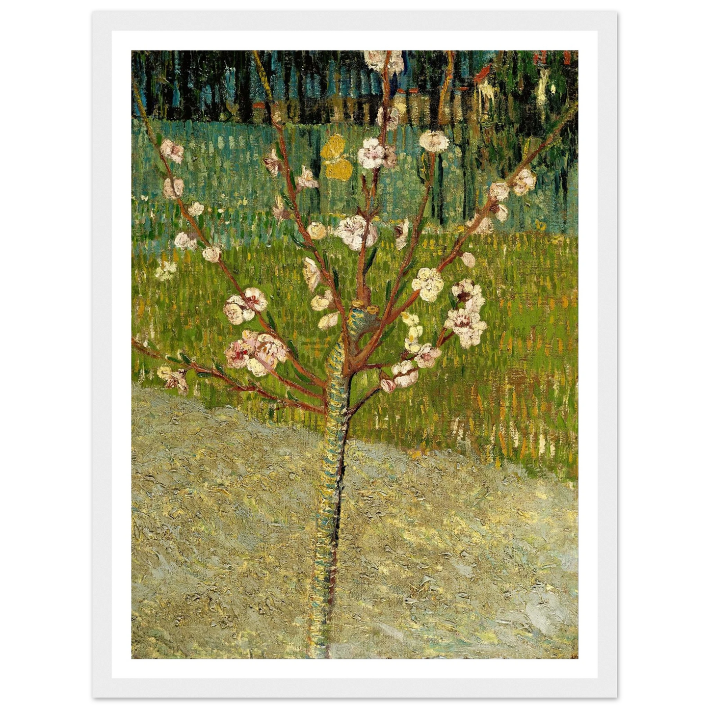 Almond tree in blossom Art Print | Vincent van Gogh-Quipham Collections