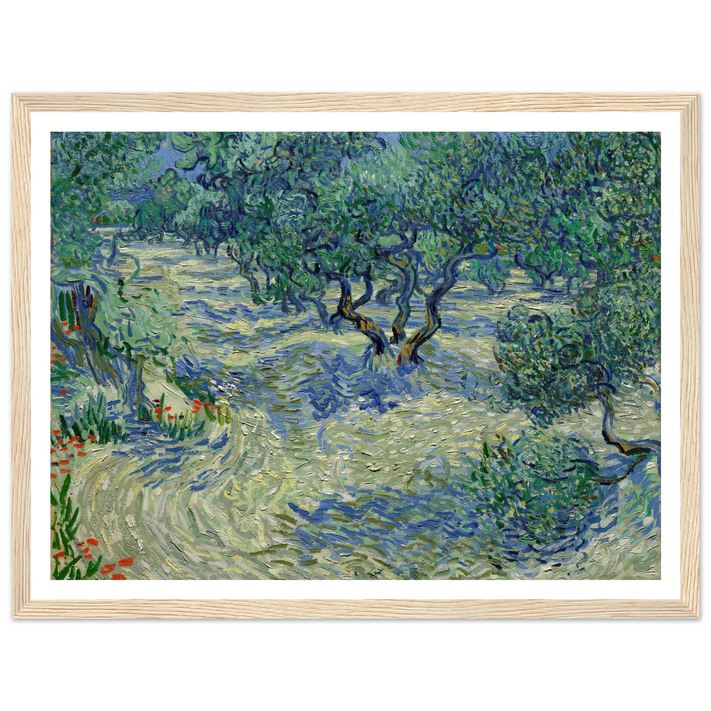 Olive Orchard Art Print | Vincent van Gogh-Quipham Collections