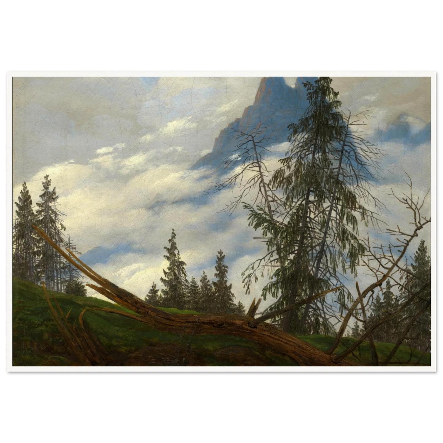 5585c882-d0eb-4db7-8e08-f23d8ea26686