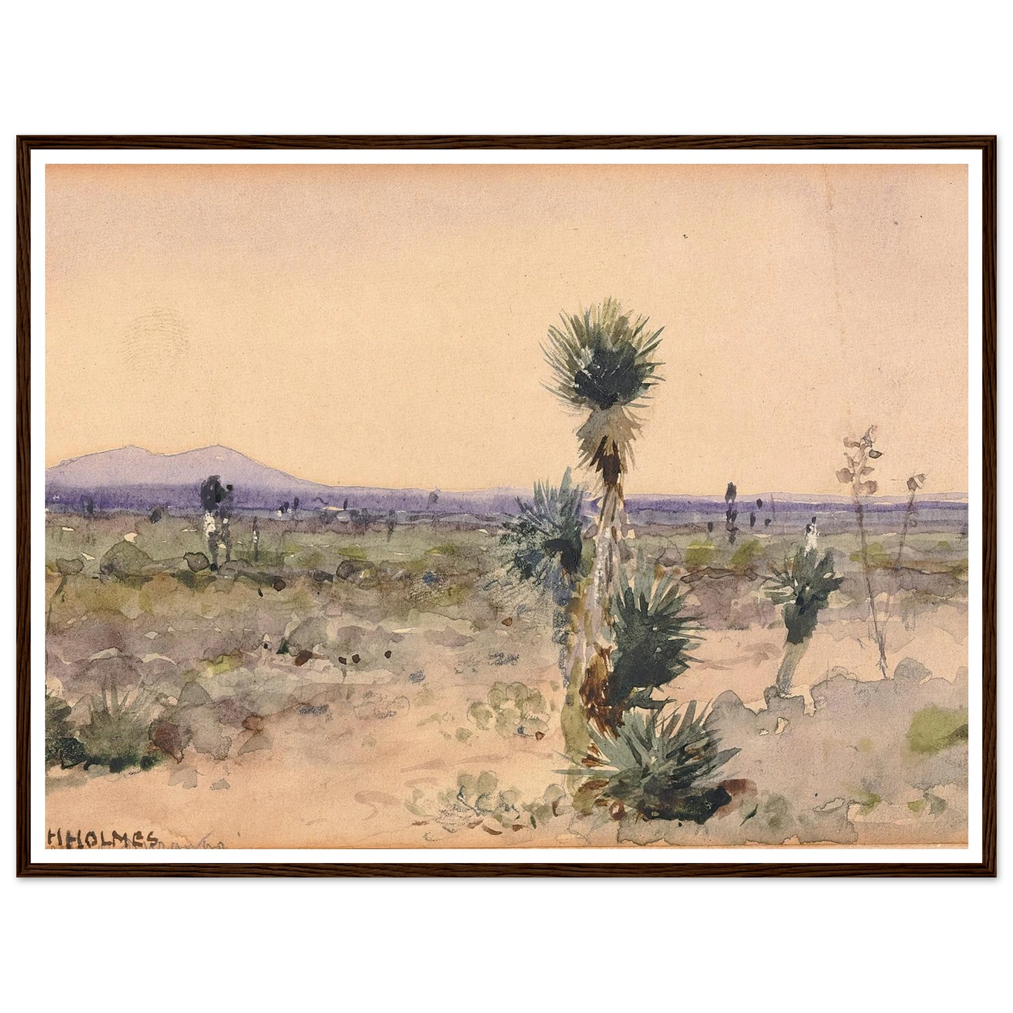 Yuccaland–Chihuahua, Mexico Art Print | William Henry Holmes-Quipham Collections