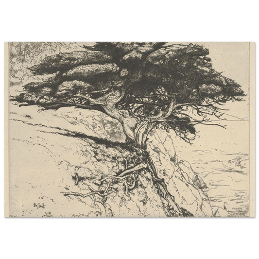 Fan Tree (1920) Art Print | Ernest Haskell-Quipham Collections