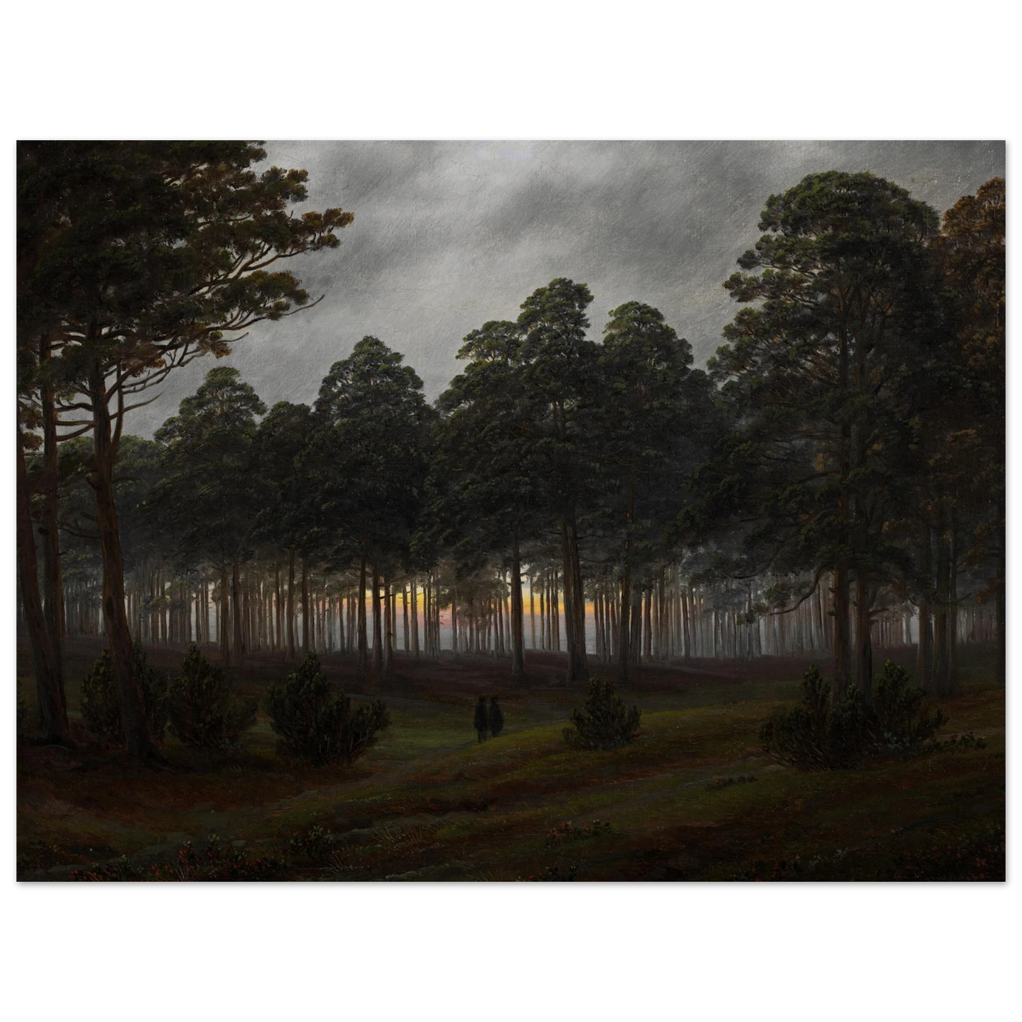 5a6a61a0-3cc6-4fde-8ddb-40a0549b185c