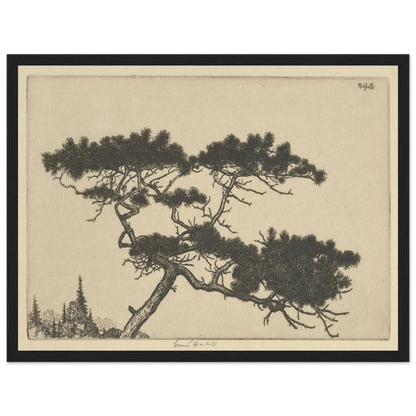 Crippled Pine (between 1900 and 1925) Art Print | Ernest Haskell-Quipham Collections