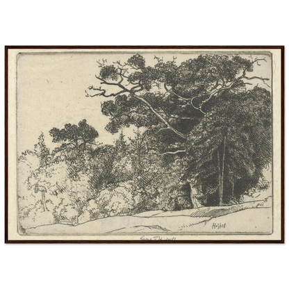Brown’s Oak (probably 1910) Art Print | Ernest Haskell-Quipham Collections