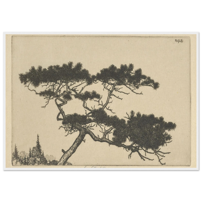Crippled Pine (between 1900 and 1925) Art Print | Ernest Haskell-Quipham Collections