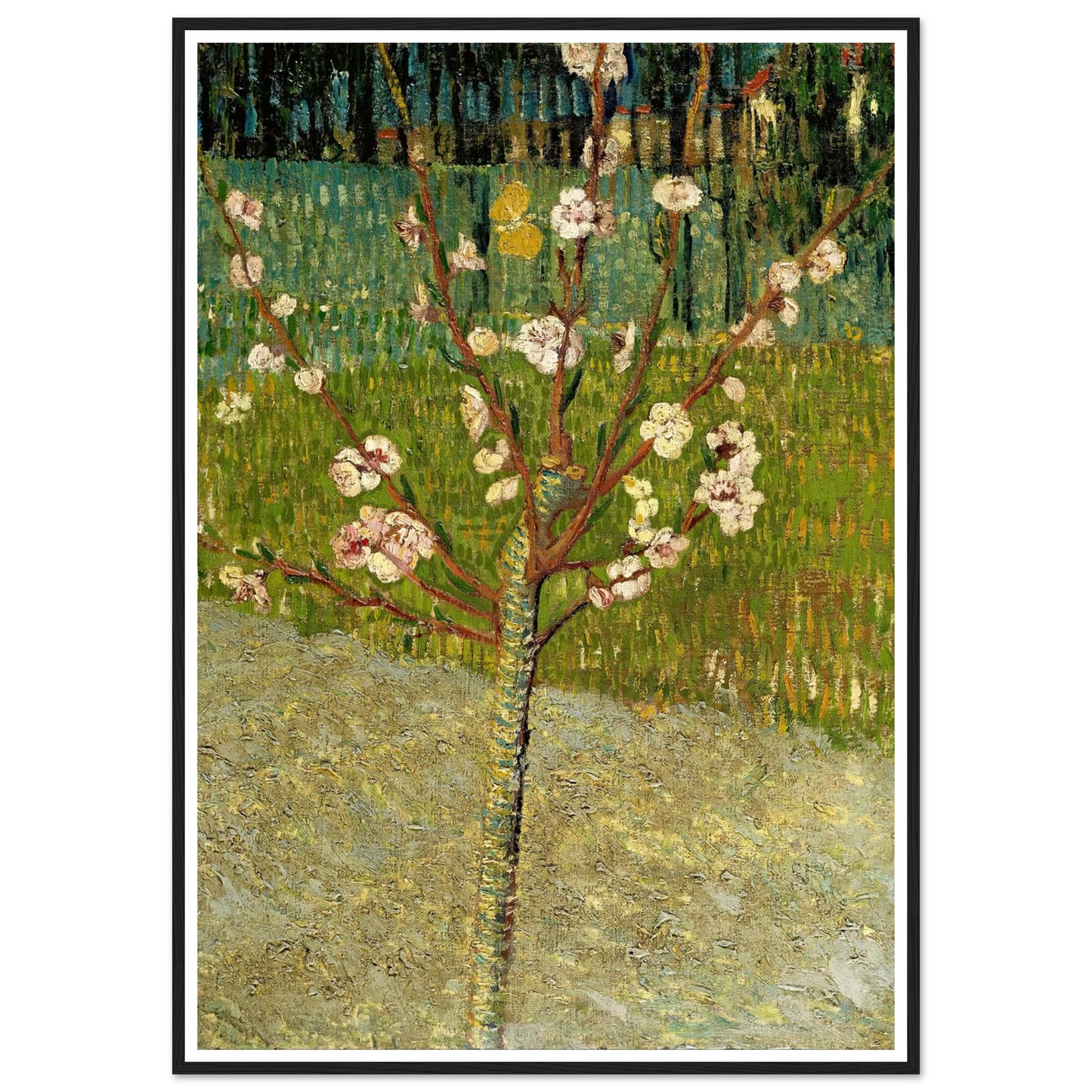 Almond tree in blossom Art Print | Vincent van Gogh-Quipham Collections