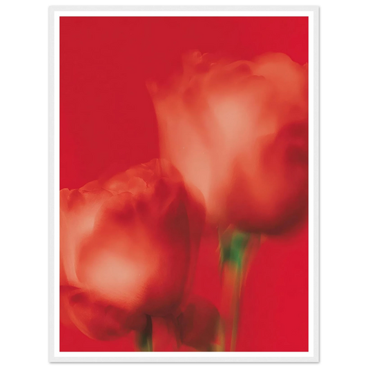 6373c6e9-a32c-4c5e-bd52-fd4ecf1d9a00