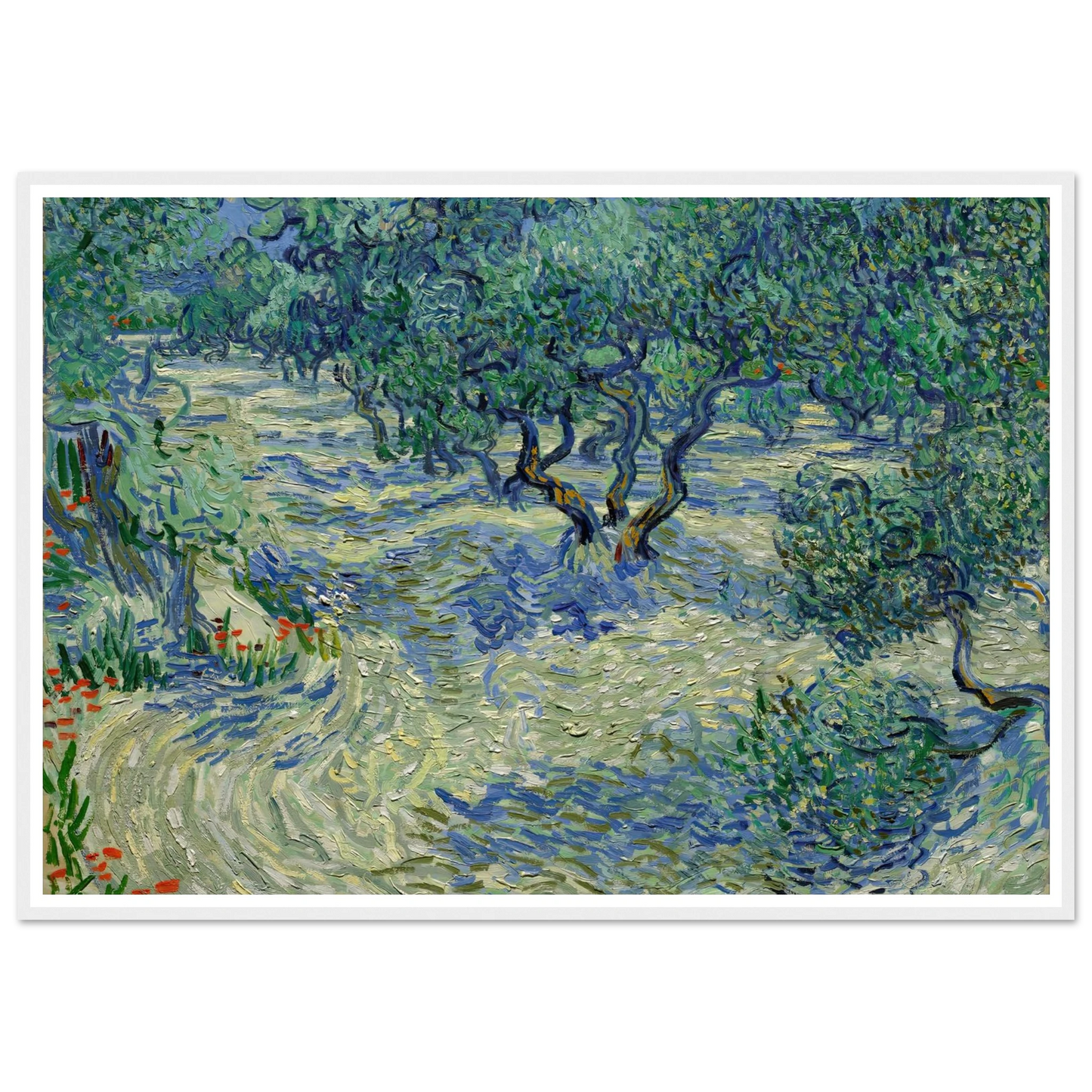 Olive Orchard Art Print | Vincent van Gogh-Quipham Collections