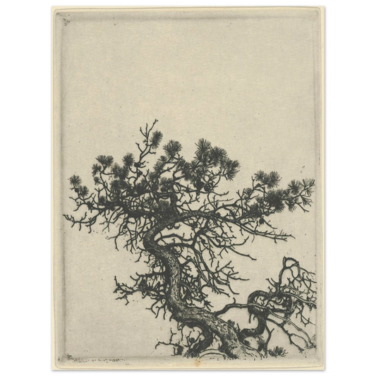 The Hunchback (1900-1925) Art Print | Ernest Haskell - Framed Poster - 30x40 cm / 12x16″ - Black frame