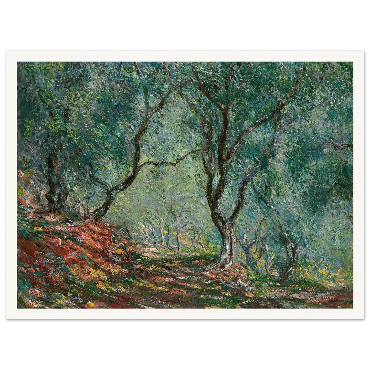 Bois d’oliviers au jardin Moreno (1884) Art Print | Claude Monet-Quipham Collections