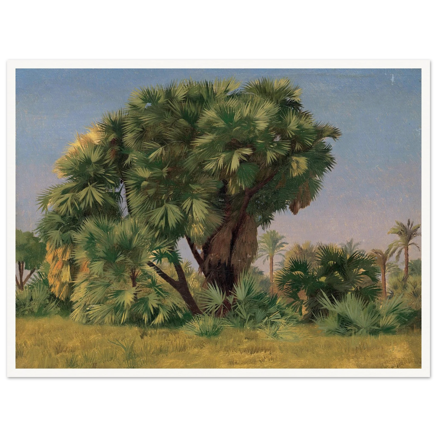 Study of Palm Trees (probably 1868) Art Print | Jean Leon Gerome-Quipham Collections