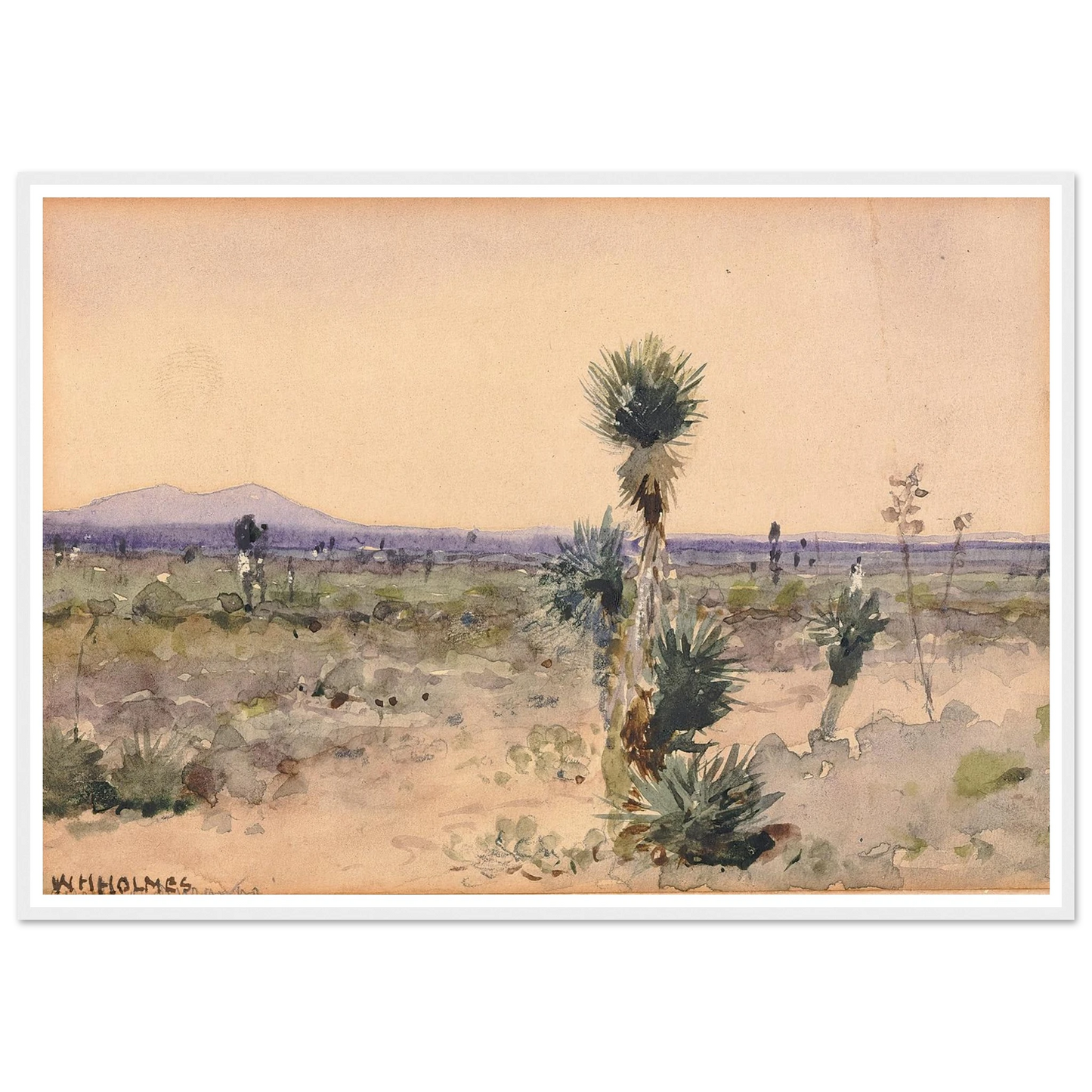 Yuccaland–Chihuahua, Mexico Art Print | William Henry Holmes-Quipham Collections
